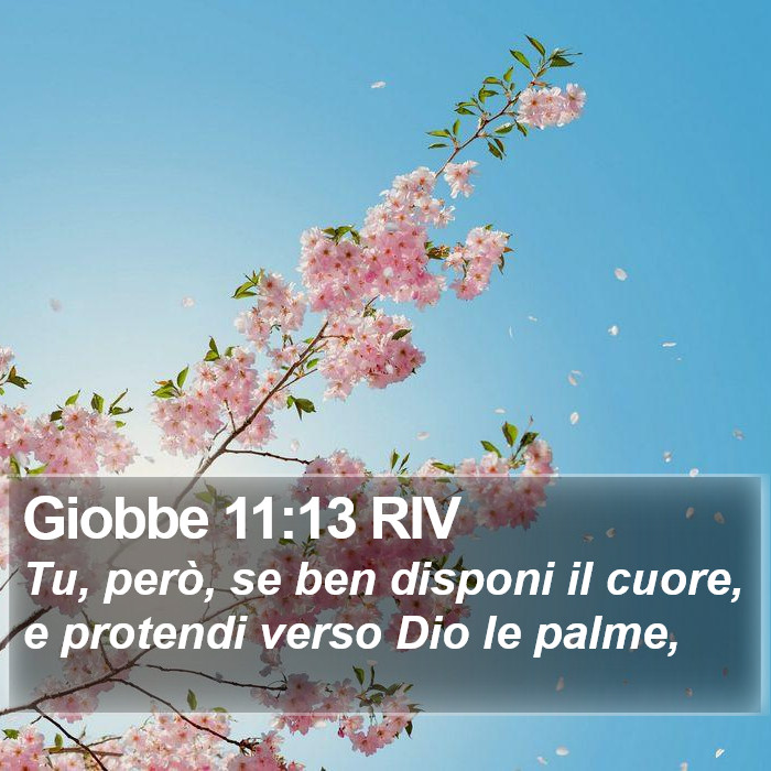 Giobbe 11:13 RIV Bible Study