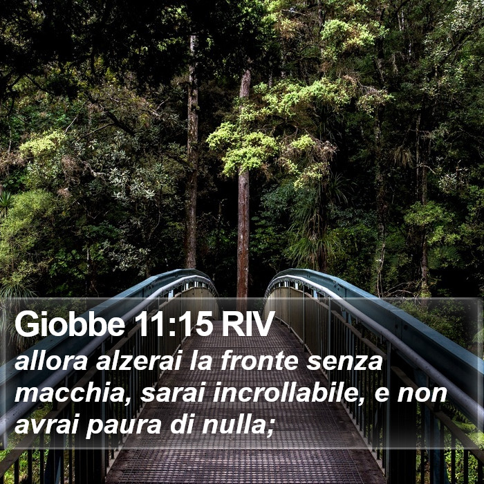 Giobbe 11:15 RIV Bible Study