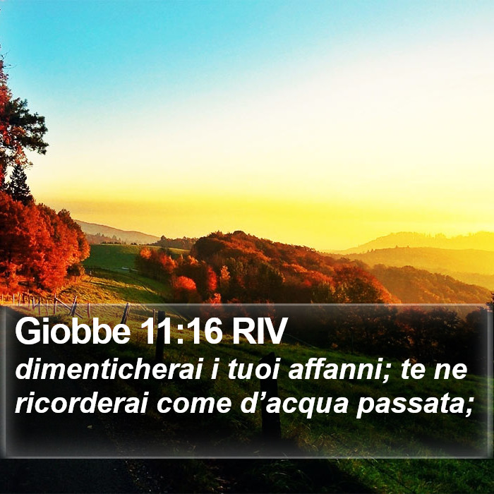 Giobbe 11:16 RIV Bible Study