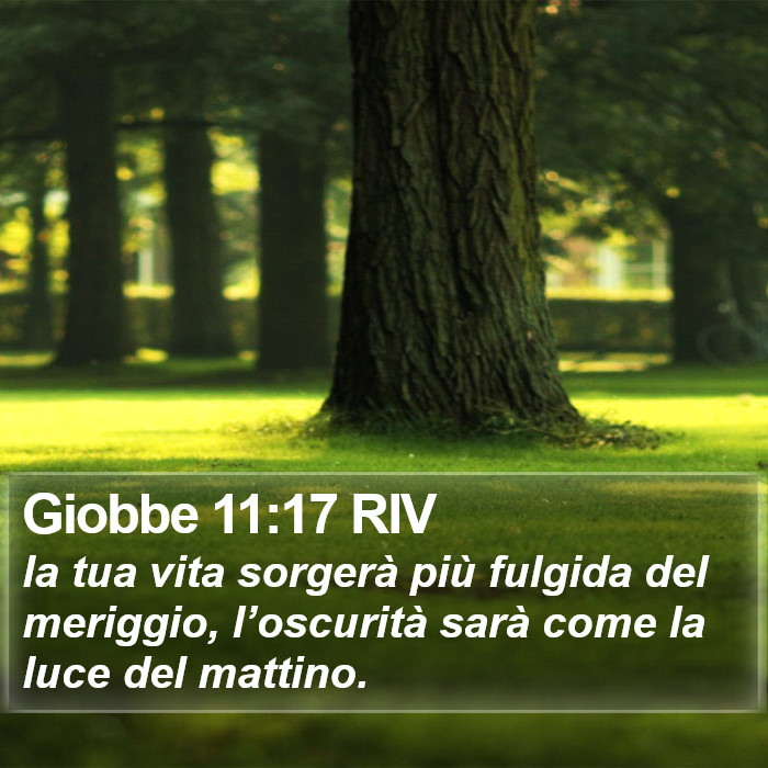 Giobbe 11:17 RIV Bible Study