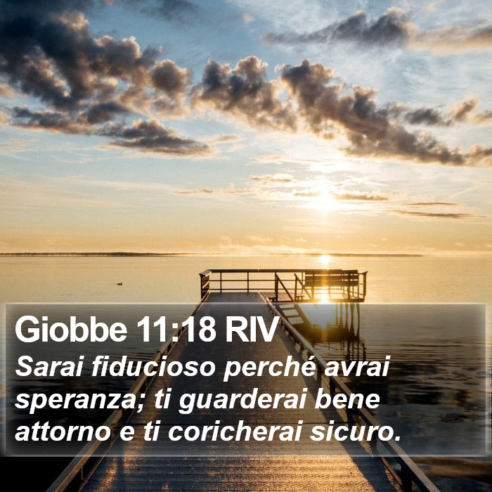 Giobbe 11:18 RIV Bible Study