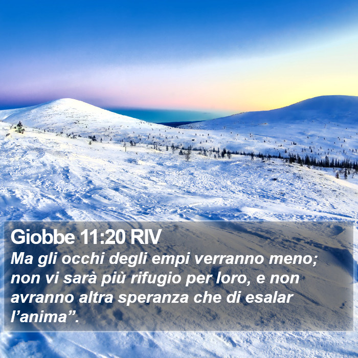 Giobbe 11:20 RIV Bible Study