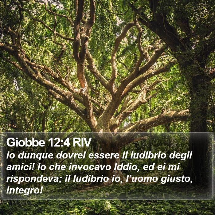 Giobbe 12:4 RIV Bible Study