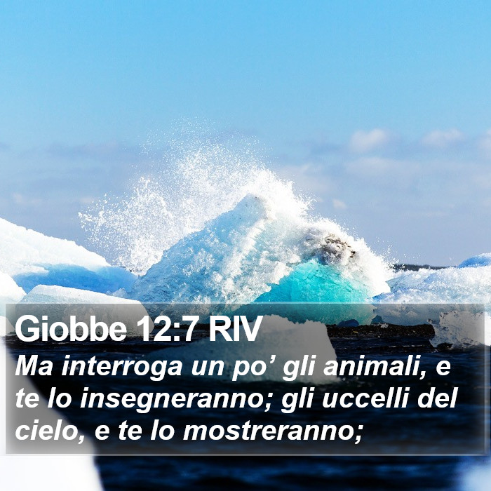 Giobbe 12:7 RIV Bible Study