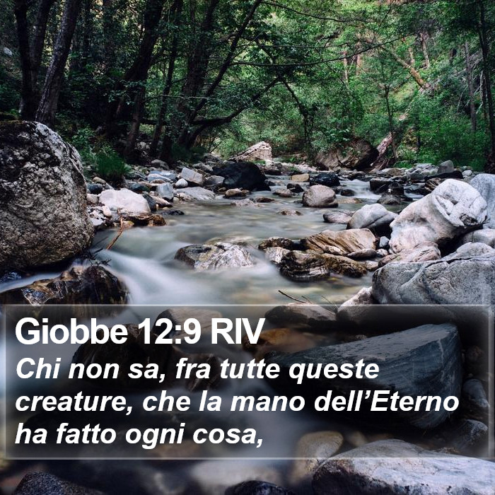Giobbe 12:9 RIV Bible Study