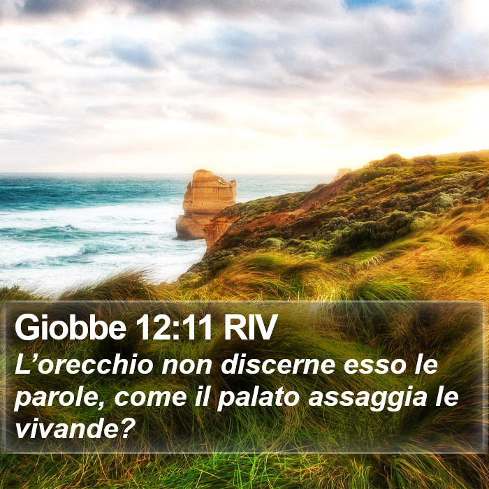 Giobbe 12:11 RIV Bible Study