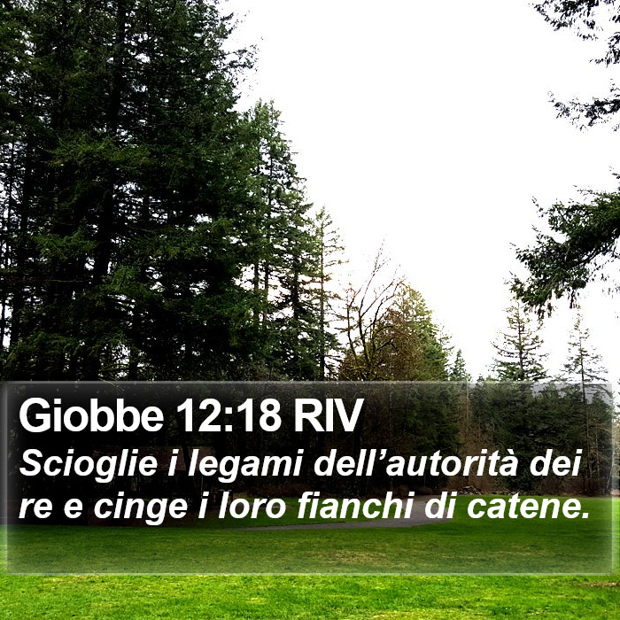 Giobbe 12:18 RIV Bible Study