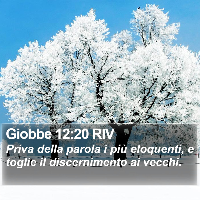 Giobbe 12:20 RIV Bible Study