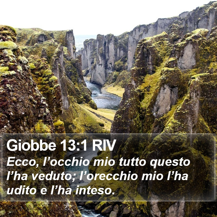 Giobbe 13:1 RIV Bible Study