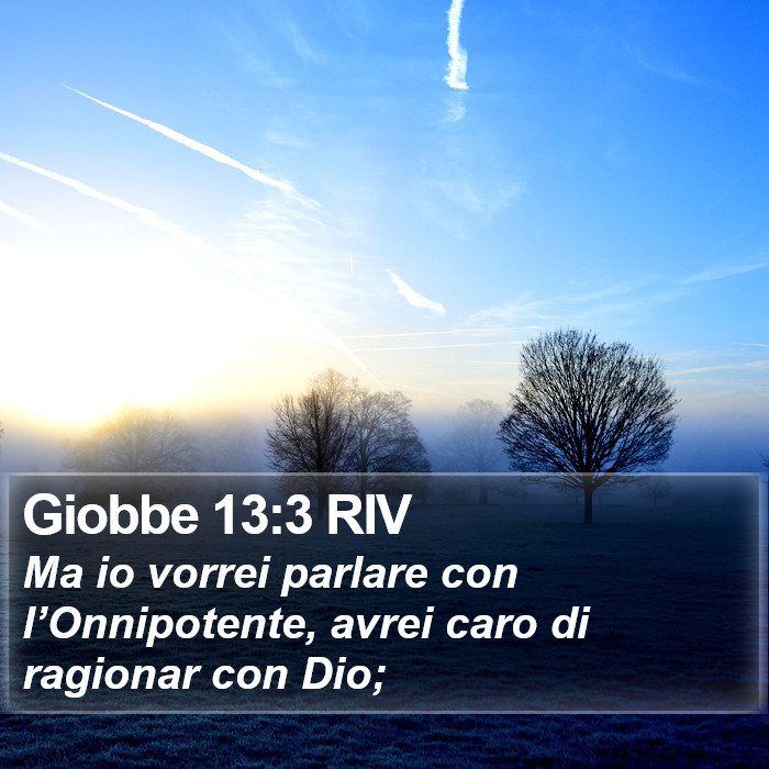 Giobbe 13:3 RIV Bible Study