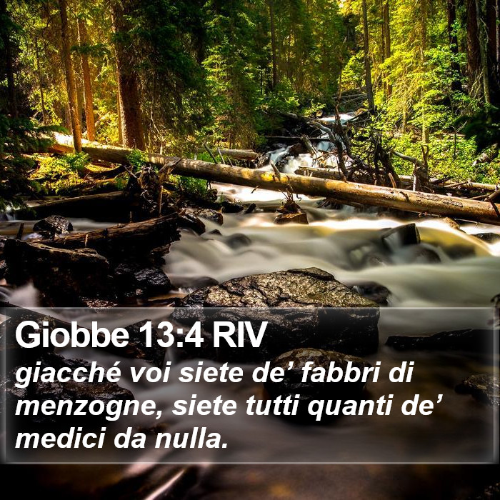 Giobbe 13:4 RIV Bible Study