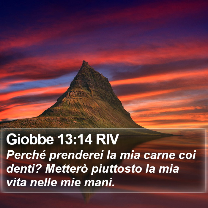 Giobbe 13:14 RIV Bible Study