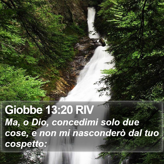 Giobbe 13:20 RIV Bible Study