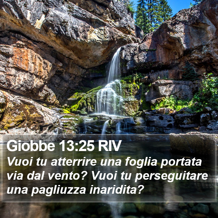 Giobbe 13:25 RIV Bible Study