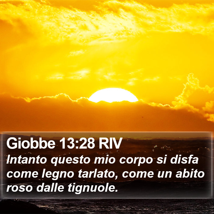 Giobbe 13:28 RIV Bible Study