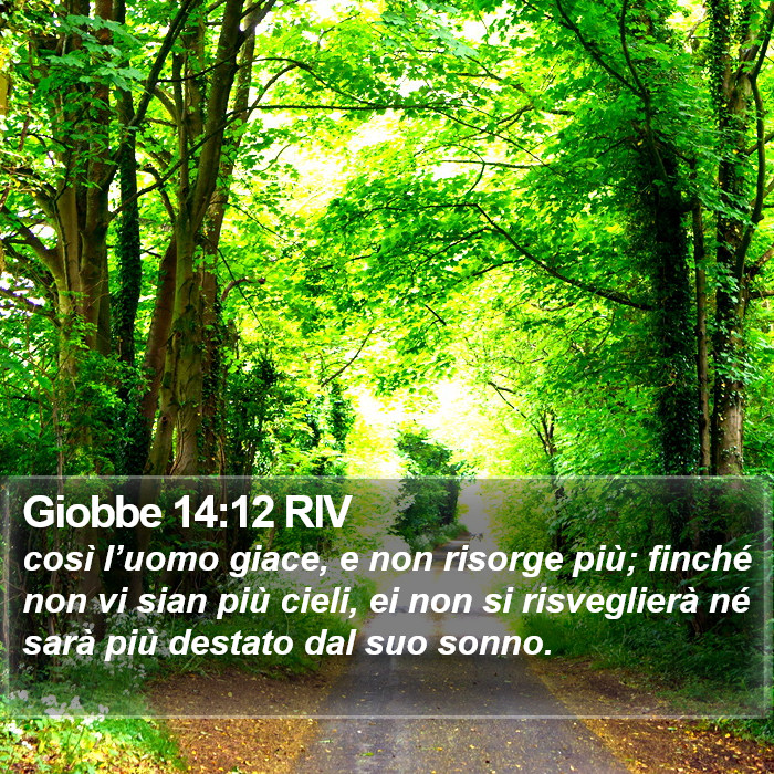 Giobbe 14:12 RIV Bible Study