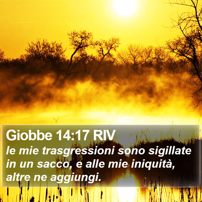 Giobbe 14:17 RIV Bible Study