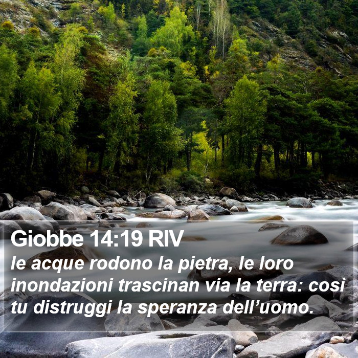 Giobbe 14:19 RIV Bible Study