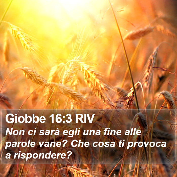Giobbe 16:3 RIV Bible Study