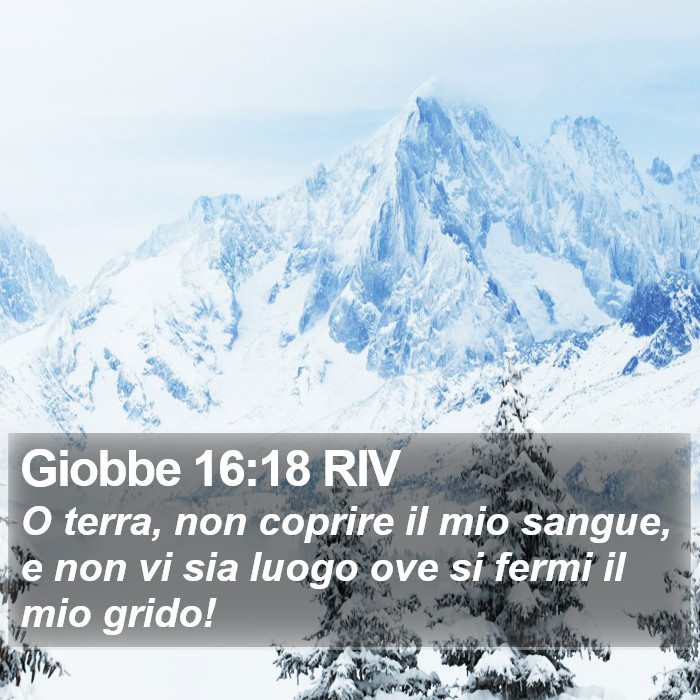 Giobbe 16:18 RIV Bible Study
