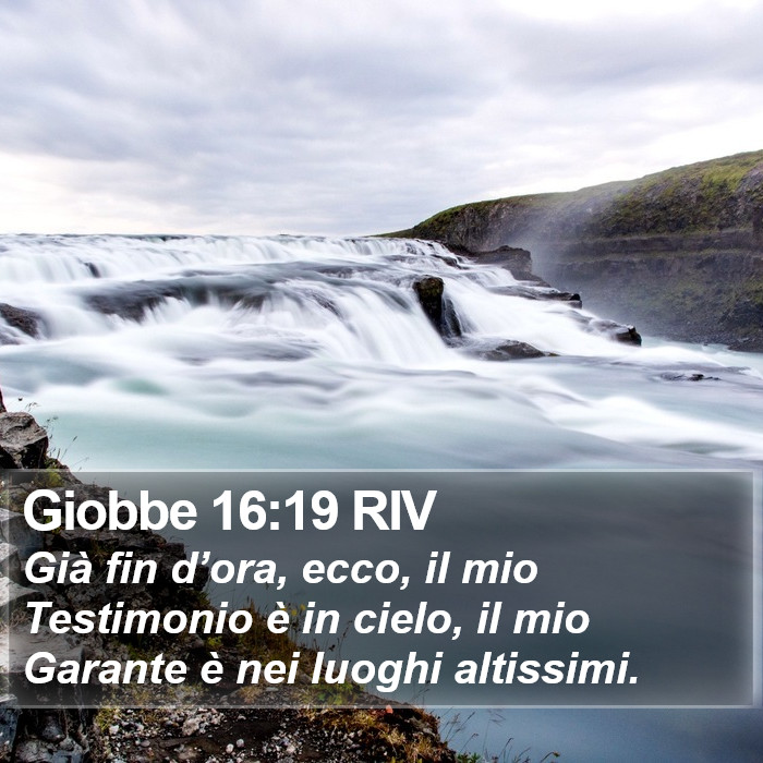 Giobbe 16:19 RIV Bible Study