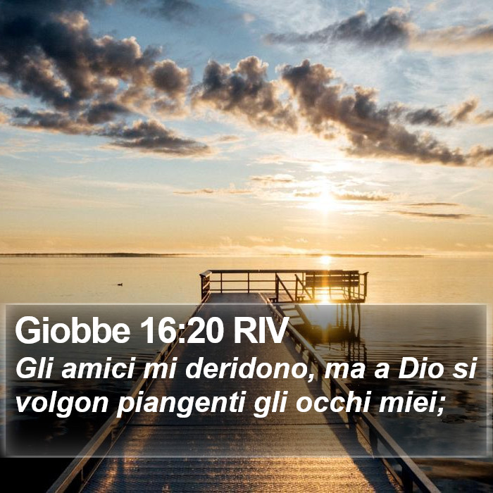 Giobbe 16:20 RIV Bible Study