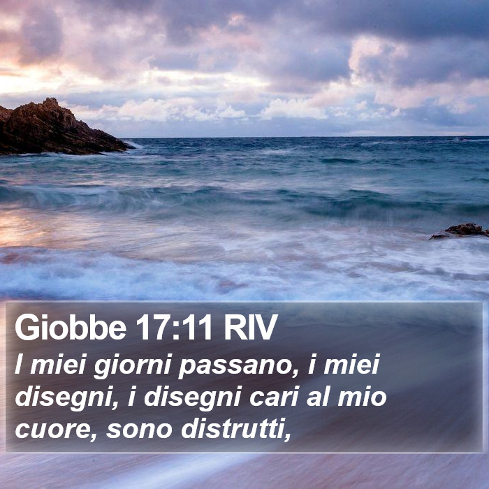 Giobbe 17:11 RIV Bible Study