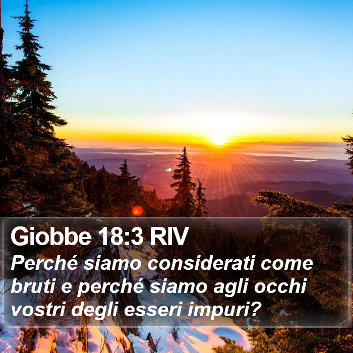 Giobbe 18:3 RIV Bible Study