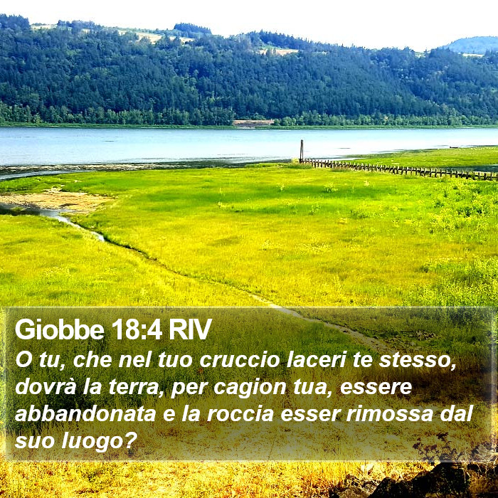 Giobbe 18:4 RIV Bible Study