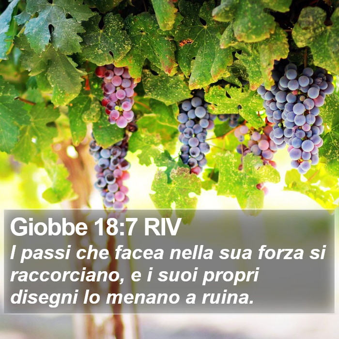 Giobbe 18:7 RIV Bible Study