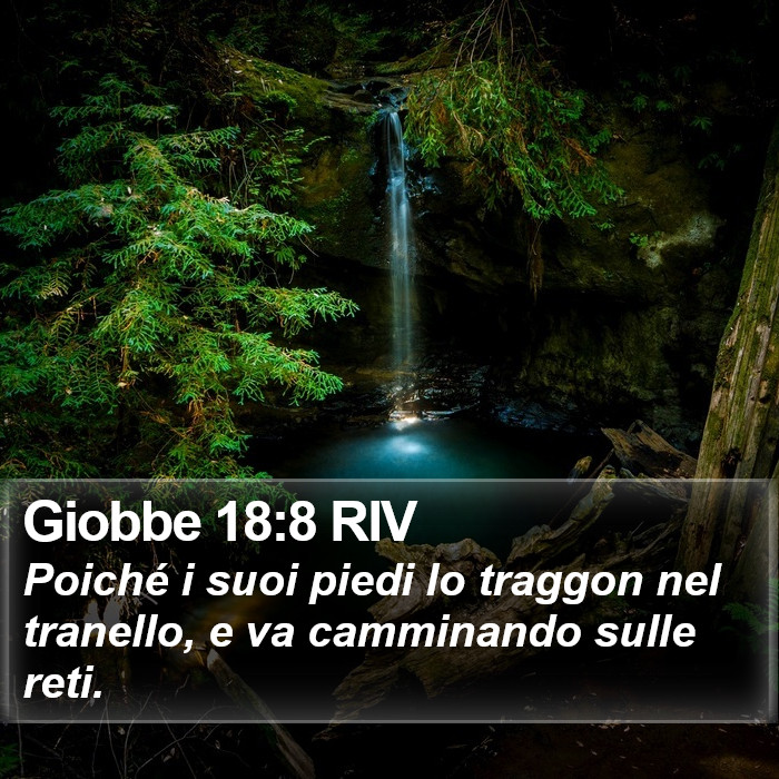 Giobbe 18:8 RIV Bible Study