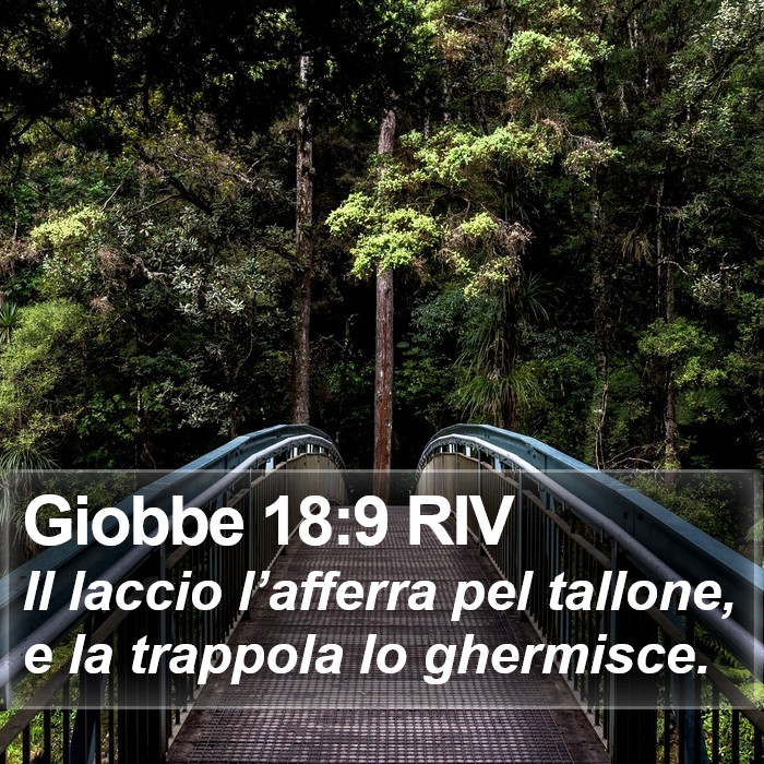 Giobbe 18:9 RIV Bible Study