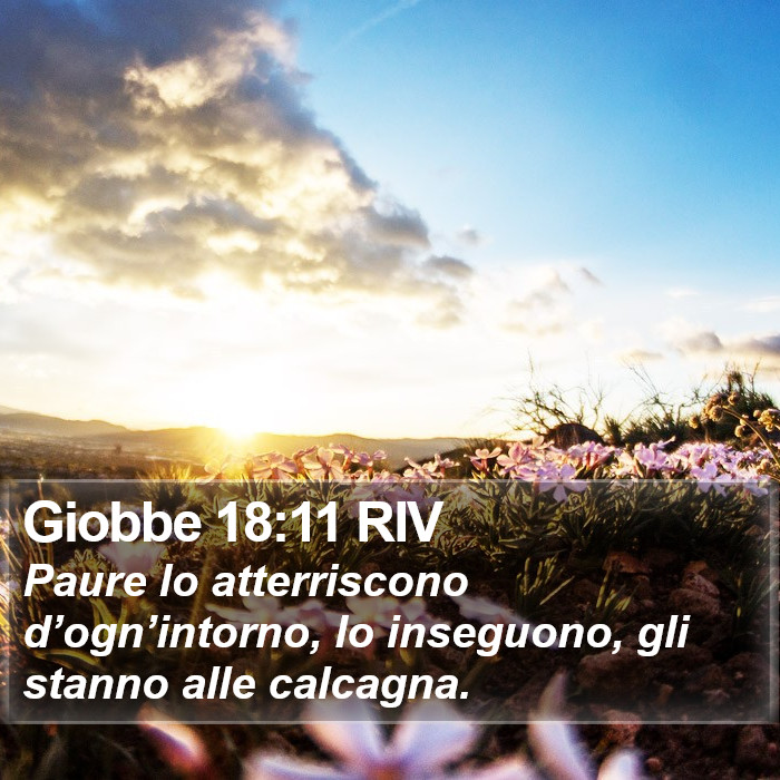 Giobbe 18:11 RIV Bible Study