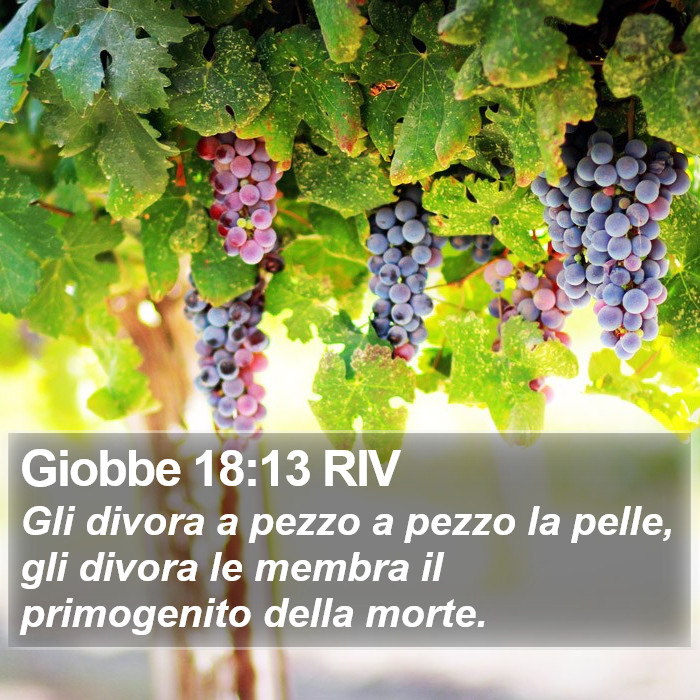 Giobbe 18:13 RIV Bible Study