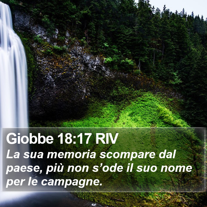 Giobbe 18:17 RIV Bible Study