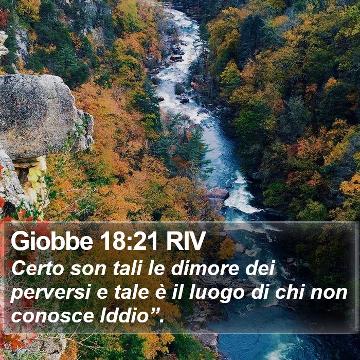 Giobbe 18:21 RIV Bible Study