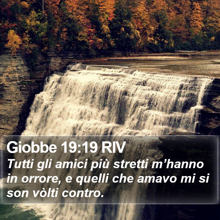 Giobbe 19:19 RIV Bible Study