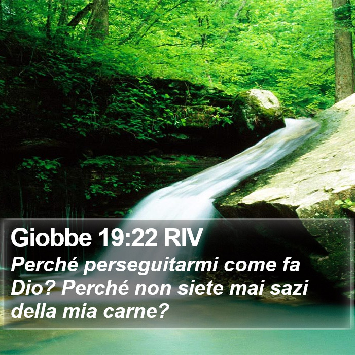 Giobbe 19:22 RIV Bible Study