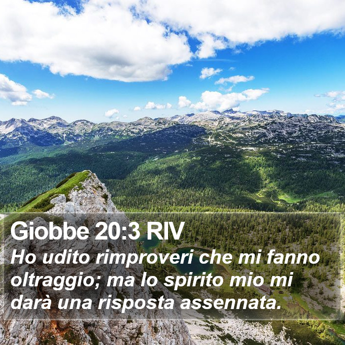 Giobbe 20:3 RIV Bible Study