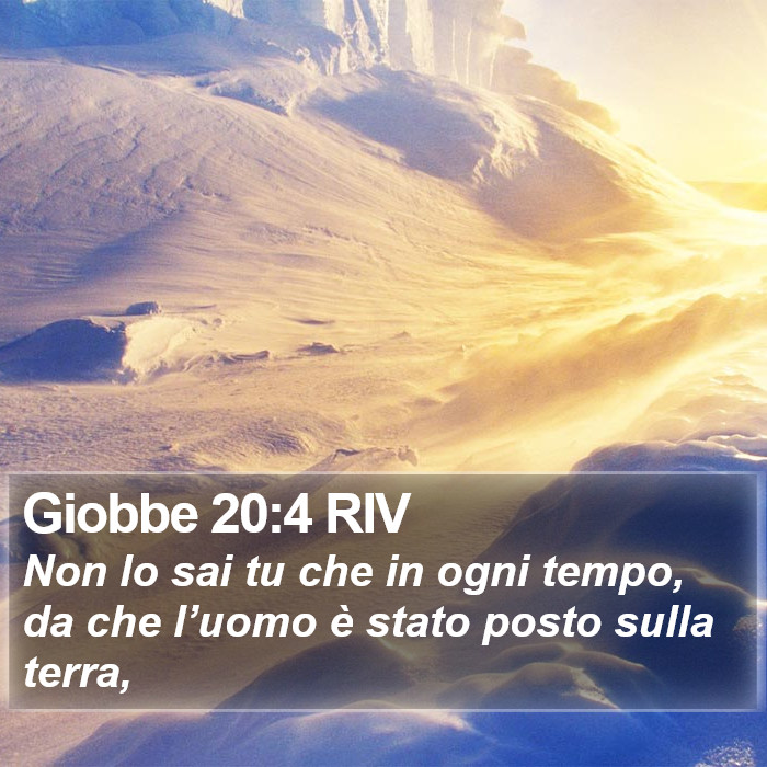 Giobbe 20:4 RIV Bible Study