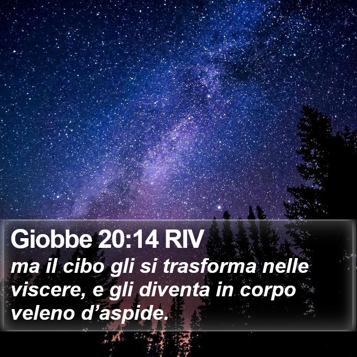 Giobbe 20:14 RIV Bible Study