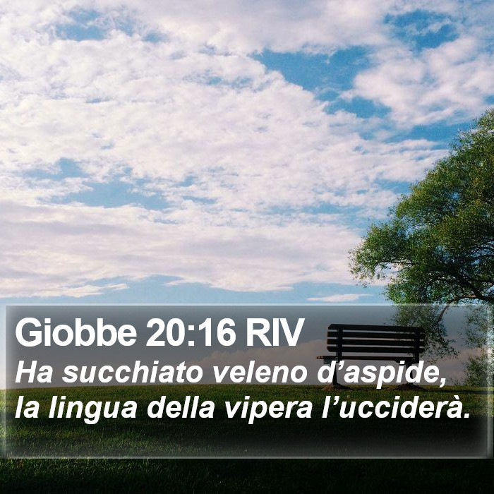 Giobbe 20:16 RIV Bible Study