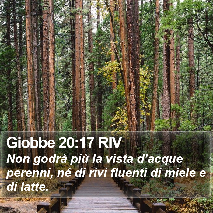 Giobbe 20:17 RIV Bible Study