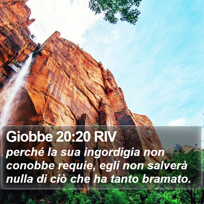 Giobbe 20:20 RIV Bible Study