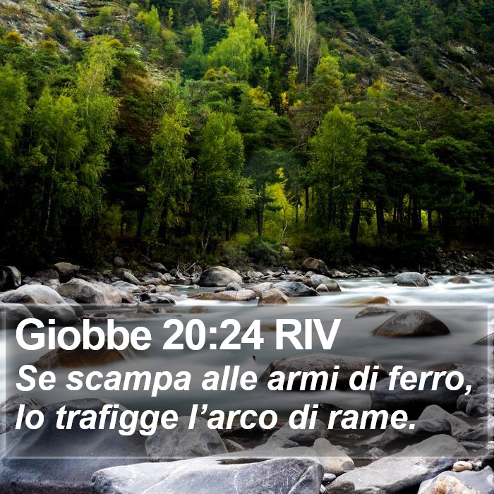 Giobbe 20:24 RIV Bible Study