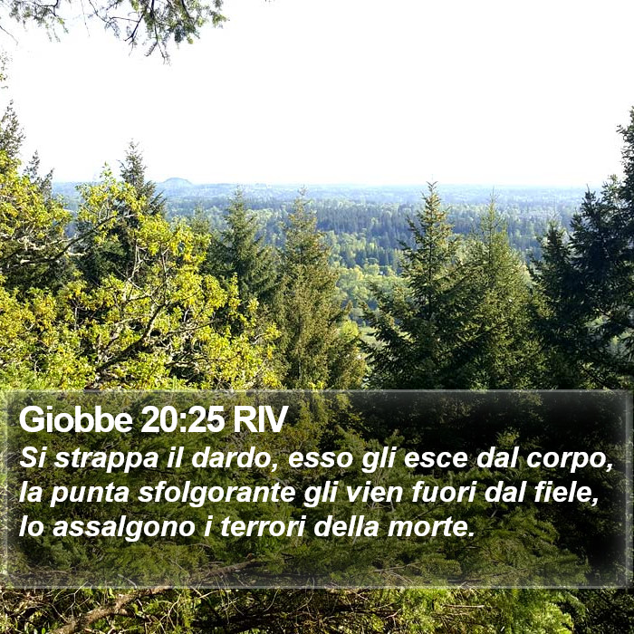 Giobbe 20:25 RIV Bible Study