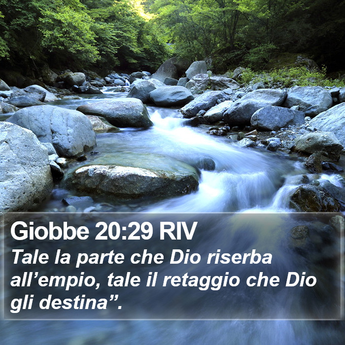 Giobbe 20:29 RIV Bible Study