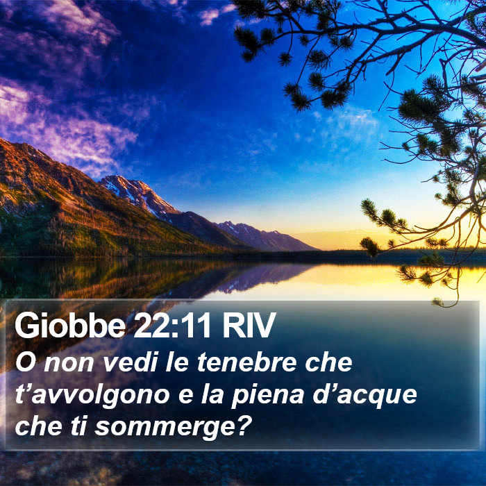 Giobbe 22:11 RIV Bible Study