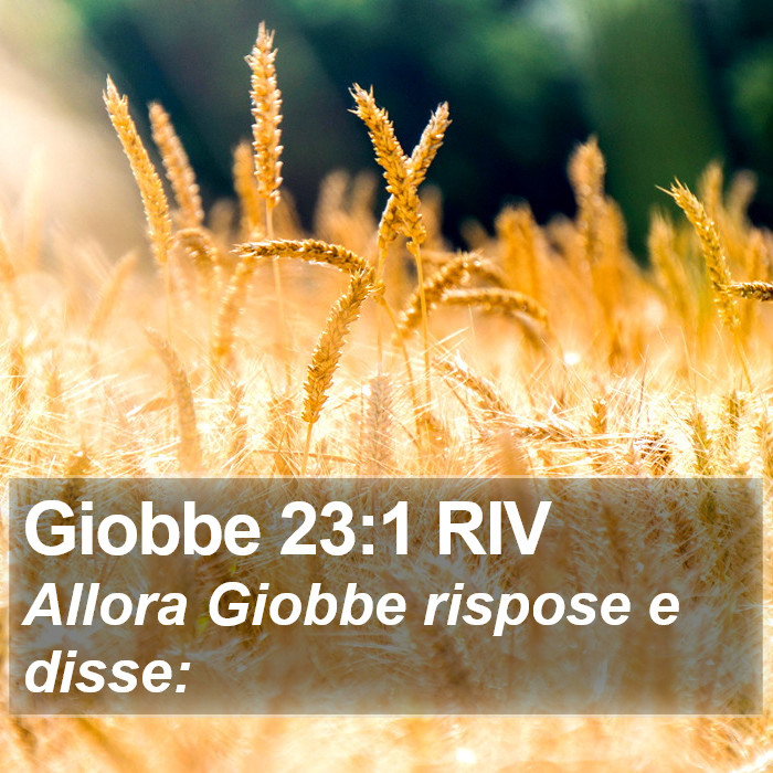 Giobbe 23:1 RIV Bible Study
