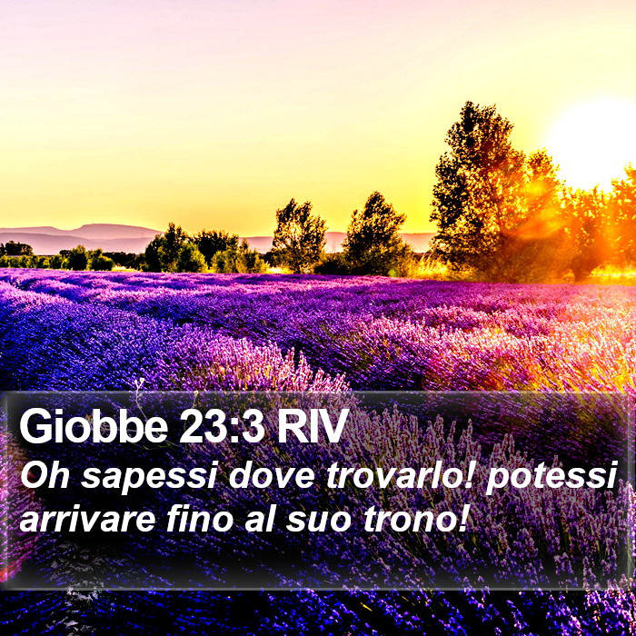 Giobbe 23:3 RIV Bible Study